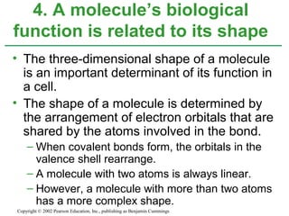 • The three-dimensional shape of a molecule
is an important determinant of its function in
a cell.
• The shape of a molecule is determined by
the arrangement of electron orbitals that are
shared by the atoms involved in the bond.
– When covalent bonds form, the orbitals in the
valence shell rearrange.
– A molecule with two atoms is always linear.
– However, a molecule with more than two atoms
has a more complex shape.
4. A molecule’s biological
function is related to its shape
Copyright © 2002 Pearson Education, Inc., publishing as Benjamin Cummings
 
