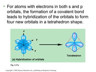 • For atoms with electrons in both s and p
orbitals, the formation of a covalent bond
leads to hybridization of the orbitals to form
four new orbitals in a tetrahedron shape.
Copyright © 2002 Pearson Education, Inc., publishing as Benjamin Cummings
Fig. 2.17a
 