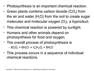 • Photosynthesis is an important chemical reaction.
• Green plants combine carbon dioxide (CO2) from
the air and water (H2O) from the soil to create sugar
molecules and molecular oxygen (O2), a byproduct.
• This chemical reaction is powered by sunlight.
• Humans and other animals depend on
photosynthesis for food and oxygen.
• The overall process of photosynthesis is
– 6CO2 + 6H2O -> C6H12O6 + 6H2O
• This process occurs in a sequence of individual
chemical reactions.
Copyright © 2002 Pearson Education, Inc., publishing as Benjamin Cummings
 