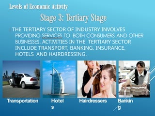 Chapter 2 Classification of Business IGCSE | PPTX