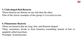 Microbiology :Lecture 2 - CLASSIFICATION OF MICROBES | PPTX
