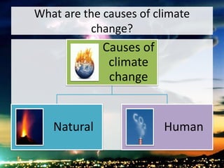 What are the causes of climate
change?
Causes of
climate
change
Natural Human
 