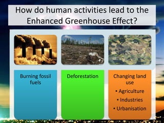 How do human activities lead to the
Enhanced Greenhouse Effect?
Burning fossil
fuels
Deforestation Changing land
use
▪ Agriculture
▪ Industries
▪ Urbanisation
 