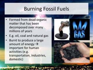 Burning Fossil Fuels
• Formed from dead organic
matter that has been
decomposed over many
millions of years
• E.g. oil, coal and natural gas
• Burnt to produce a large
amount of energy 
important for human
activities (e.g.
transportation, industries,
domestic)
 