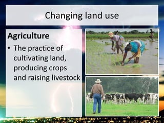 Changing land use
Agriculture
• The practice of
cultivating land,
producing crops
and raising livestock
 