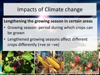 Impacts of Climate change
Lengthening the growing season in certain areas
• Growing season: period during which crops can
be grown
• Lengthened growing seasons affect different
crops differently (+ve or –ve)
 