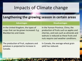 Impacts of Climate change
Lengthening the growing season in certain areas
Advantages Disadvantages
In the United Kingdom, the types of
crops that can be grown increased. E.g.
Blackberries and maize.
In the Yunnan Province, China, the
production of fruits such as apples and
cherries, and nuts such as almonds and
walnuts is reduced as these fruits and
nuts require cool weather conditions.
The production of fruit, soybeans and
potatoes is projected to increase in
Canada.
In Canada, the average wheat grain
yield has reduced.
 
