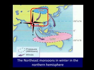 The Northeast monsoons in winter in the
northern hemisphere
 
