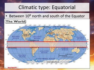 Climatic type: Equatorial
• Between 10⁰ north and south of the Equator
 