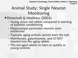 Chapter2cognitiveneuroscience4346 | PPT