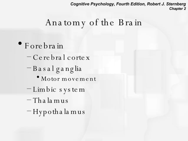 Chapter2 Cognitive Neuroscience Ppt Brain And Nervous System