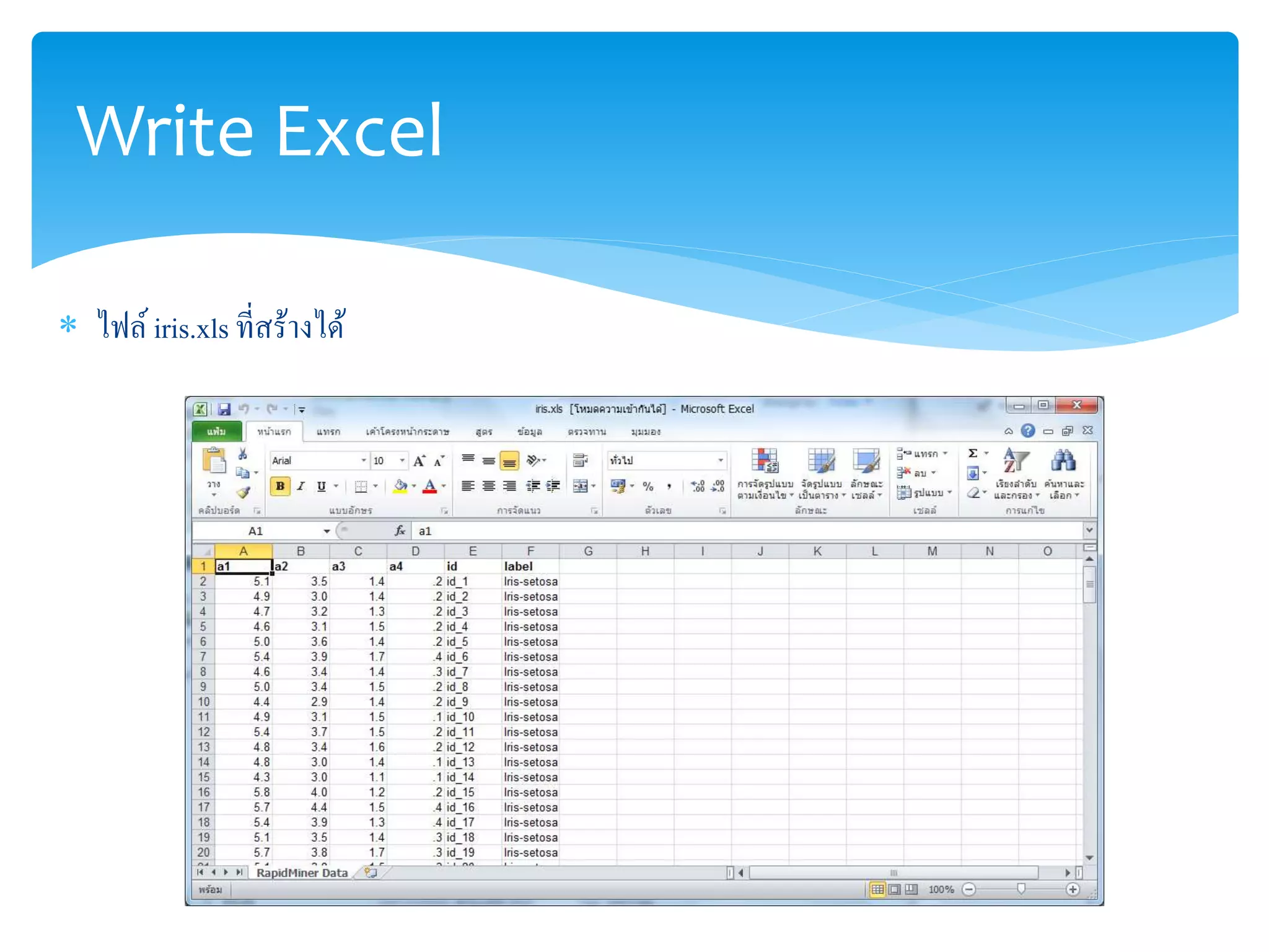 Write Excel 
 ไฟล์ iris.xls ที่สร้างได้ 
 