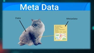 Emerging Technology Chapter 2 Data Science | PPTX
