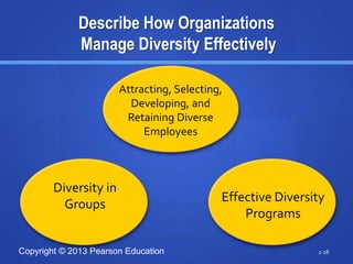 Copyright © 2013 Pearson Education
Describe How Organizations
Manage Diversity Effectively
2-18
Attracting, Selecting,
Developing, and
Retaining Diverse
Employees
Diversity in
Groups
Effective Diversity
Programs
 