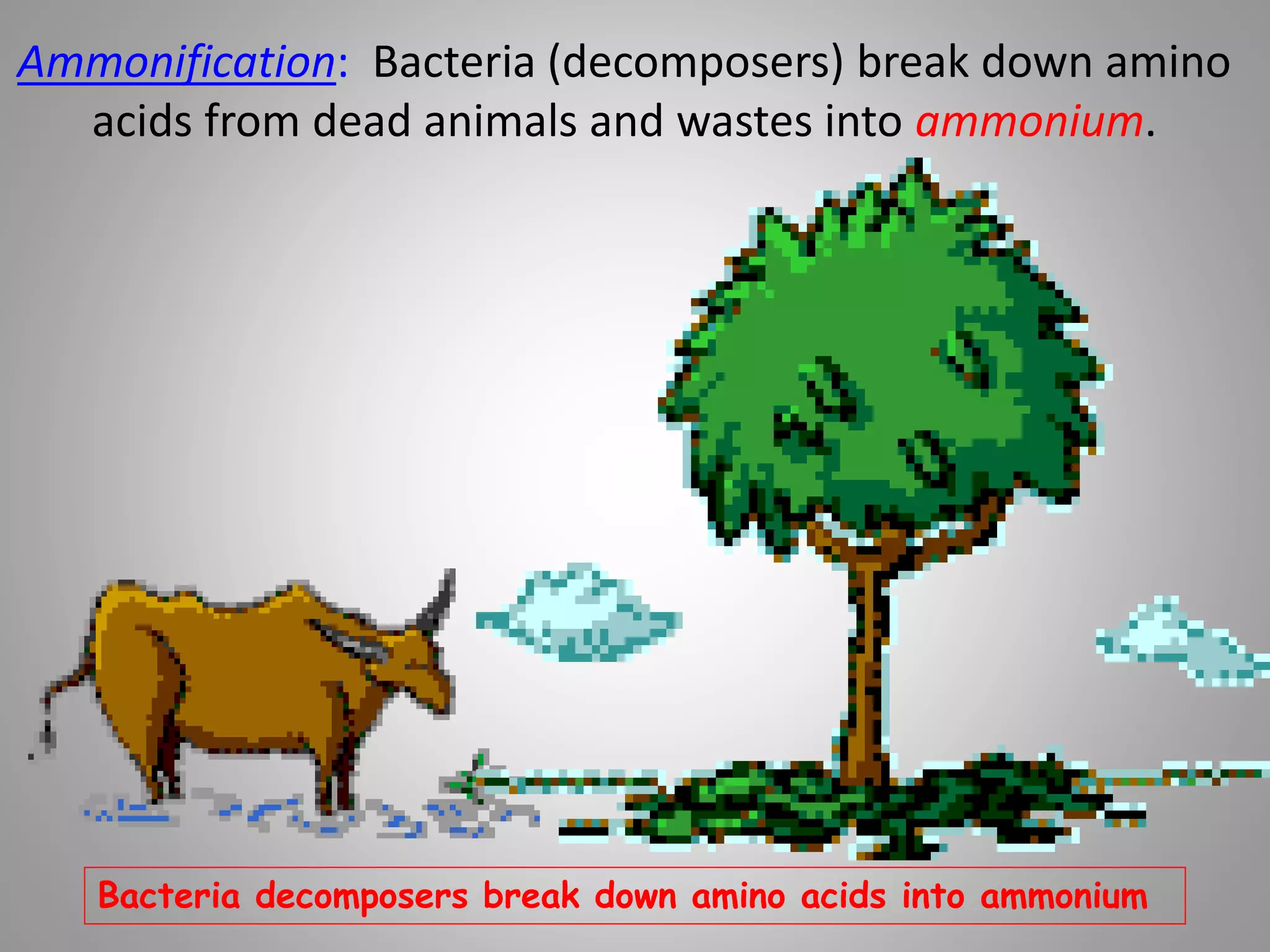 Ecology and Ecosystem | PDF