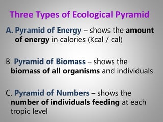 Ecology and Ecosystem