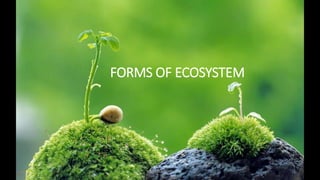 Chapter 2 ecosystem | PPTX