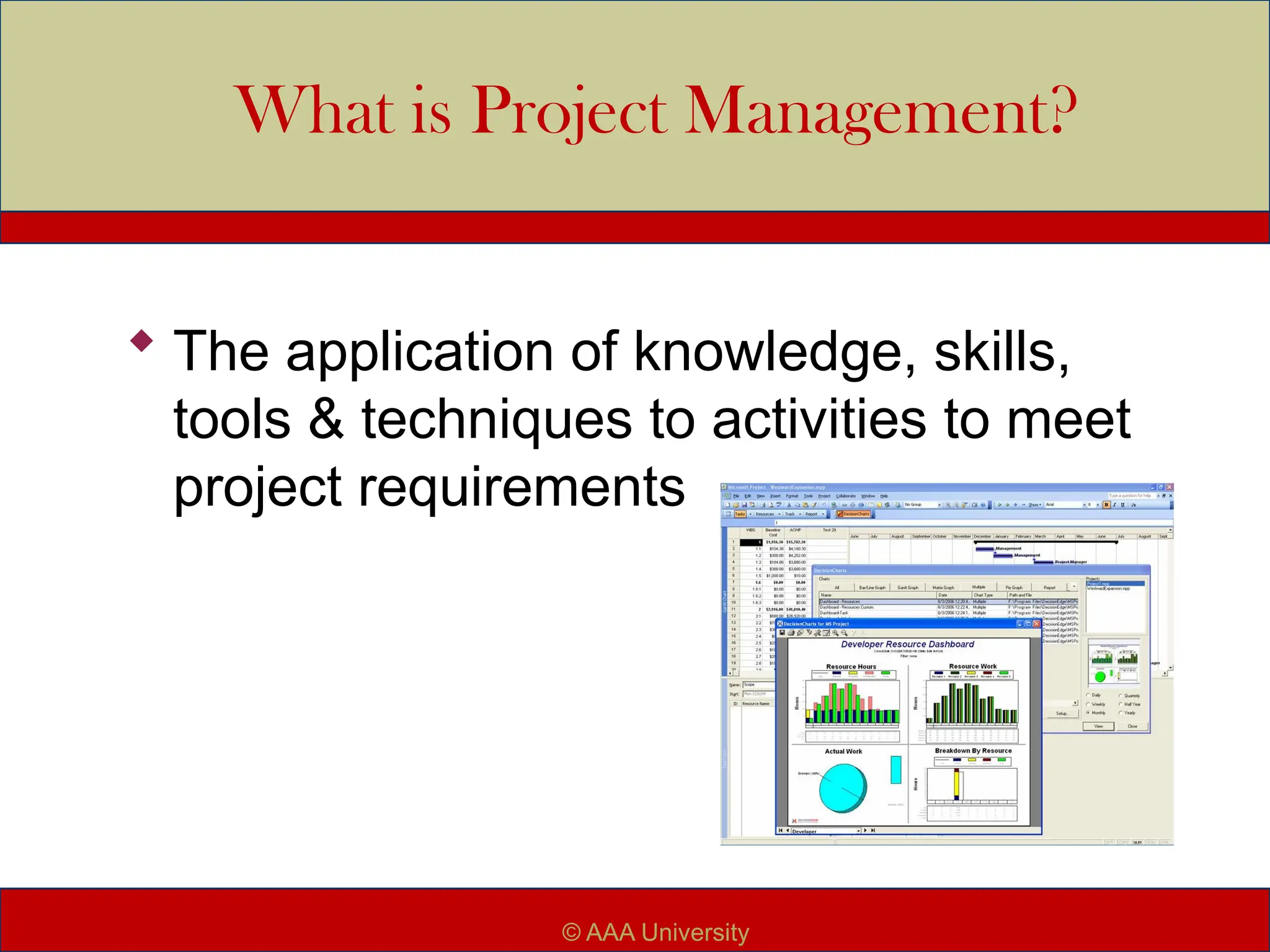What is Project Management?
 The application of knowledge, skills,
tools & techniques to activities to meet
project requirements
© AAA University
 