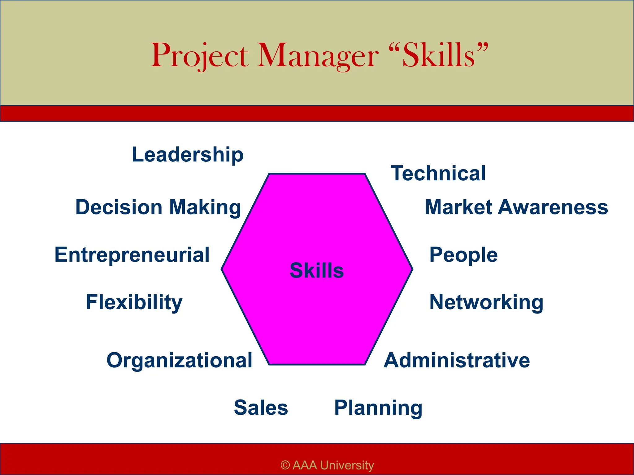 Project Manager “Skills”
Skills
Leadership
Technical
Entrepreneurial People
Organizational Administrative
Sales
Flexibility Networking
Decision Making Market Awareness
Planning
© AAA University
 