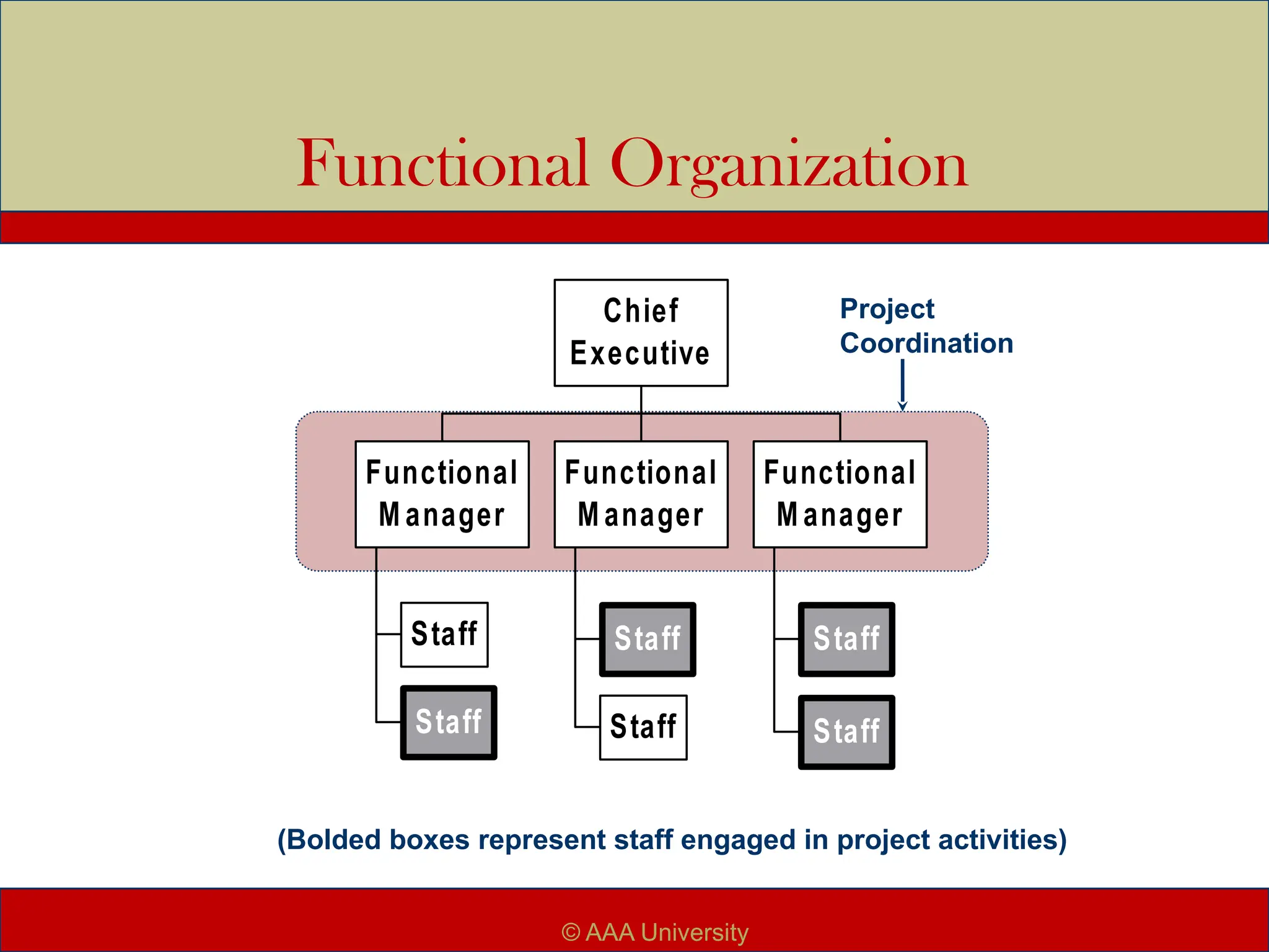 Functional Organization
(Bolded boxes represent staff engaged in project activities)
Staff
Staff
Functional
M anager
Staff
Staff
Functional
M anager
Staff
Staff
Functional
M anager
Chief
Executive
Project
Coordination
© AAA University
 