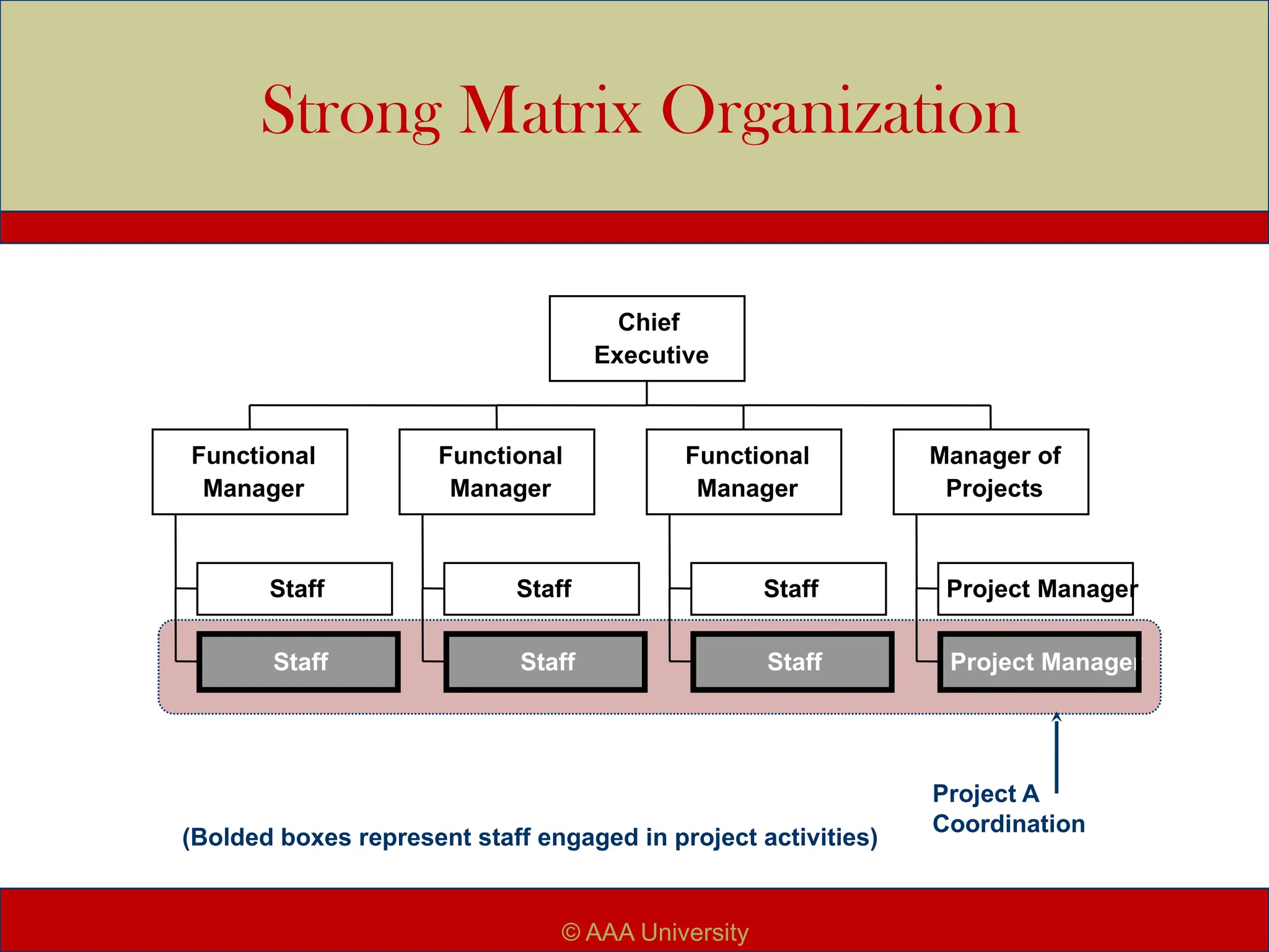 Staff
Staff
Functional
Manager
Staff
Staff
Functional
Manager
Staff
Staff
Functional
Manager
Project Manager
Project Manager
Manager of
Projects
Chief
Executive
Project A
Coordination
Strong Matrix Organization
(Bolded boxes represent staff engaged in project activities)
© AAA University
 