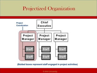 Projectized Organization
Staff
Staff
Project
M anager
Staff
Staff
Project
M anager
Staff
Staff
Project
M anager
Chief
Executive
Project
Coordination
(Bolded boxes represent staff engaged in project activities)
© AAA University
 
