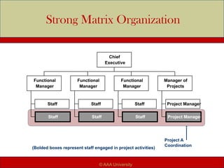 Staff
Staff
Functional
Manager
Staff
Staff
Functional
Manager
Staff
Staff
Functional
Manager
Project Manager
Project Manager
Manager of
Projects
Chief
Executive
Project A
Coordination
Strong Matrix Organization
(Bolded boxes represent staff engaged in project activities)
© AAA University
 
