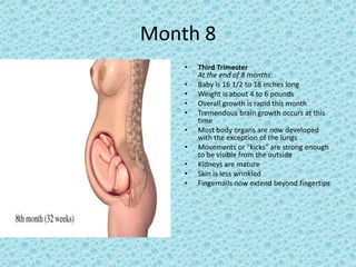 Month 8
    •   Third Trimester
        At the end of 8 months:
    •   Baby is 16 1/2 to 18 inches long
    •   Weight is about 4 to 6 pounds
    •   Overall growth is rapid this month
    •   Tremendous brain growth occurs at this
        time
    •   Most body organs are now developed
        with the exception of the lungs
    •   Movements or "kicks" are strong enough
        to be visible from the outside
    •   Kidneys are mature
    •   Skin is less wrinkled
    •   Fingernails now extend beyond fingertips
 