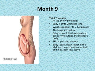 Month 9
    Third Trimester
       At the end of 9 months:
    • Baby is 19 to 20 inches long
    • Weight is about 7 to 7 1/2 pounds
    • The lungs are mature
    • Baby is now fully developed and
       can survive outside the mother's
       body
    • Skin is pink and smooth
    • Baby settles down lower in the
       abdomen in preparation for birth
       and may seem less active
 