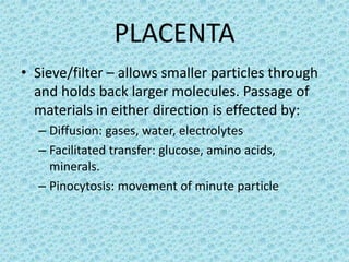 PLACENTA
• Sieve/filter – allows smaller particles through
  and holds back larger molecules. Passage of
  materials in either direction is effected by:
  – Diffusion: gases, water, electrolytes
  – Facilitated transfer: glucose, amino acids,
    minerals.
  – Pinocytosis: movement of minute particle
 