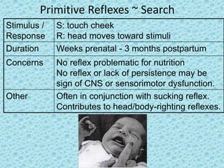 Primitive Reflexes ~ Search
Stimulus /   S: touch cheek
Response     R: head moves toward stimuli
Duration     Weeks prenatal - 3 months postpartum
Concerns     No reflex problematic for nutrition
             No reflex or lack of persistence may be
             sign of CNS or sensorimotor dysfunction.
Other        Often in conjunction with sucking reflex.
             Contributes to head/body-righting reflexes.
 