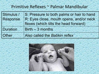 Primitive Reflexes ~ Palmar Mandibular
Stimulus /   S: Pressure to both palms or hair to hand
Response     R: Eyes close, mouth opens, and/or neck
             flexes (which tilts the head forward)
Duration     Birth – 3 months
Other        Also called the Babkin reflex
 