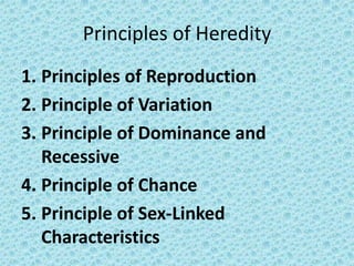 Principles of Heredity
1. Principles of Reproduction
2. Principle of Variation
3. Principle of Dominance and
   Recessive
4. Principle of Chance
5. Principle of Sex-Linked
   Characteristics
 