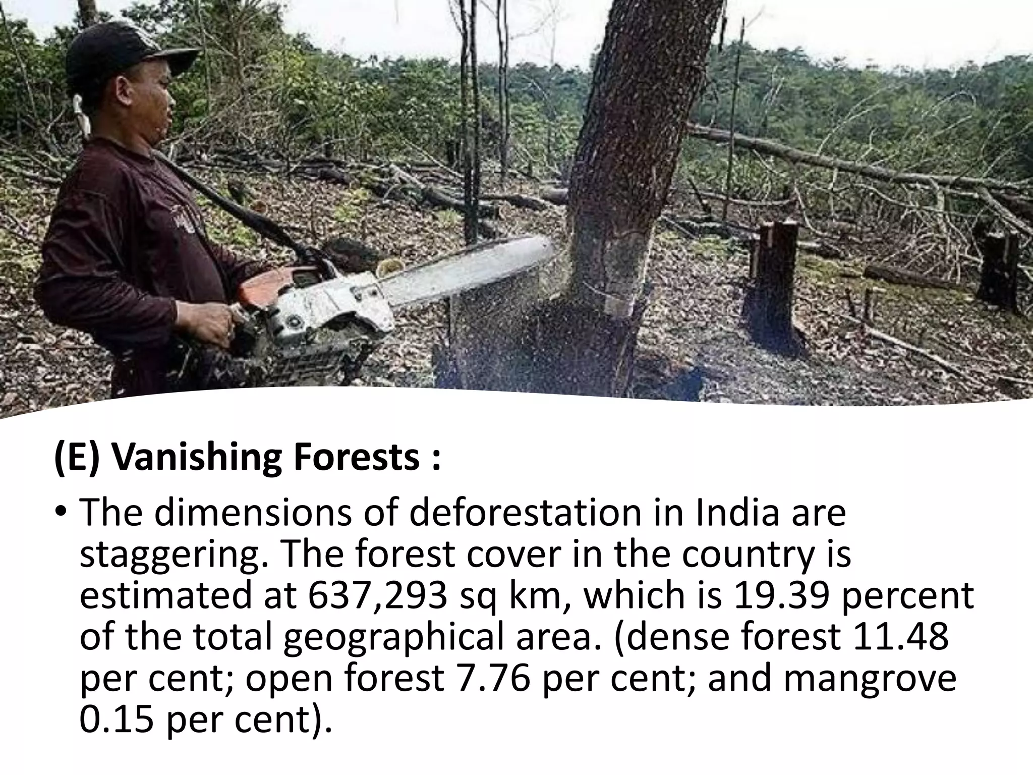 (E) Vanishing Forests :
• The dimensions of deforestation in India are
staggering. The forest cover in the country is
estimated at 637,293 sq km, which is 19.39 percent
of the total geographical area. (dense forest 11.48
per cent; open forest 7.76 per cent; and mangrove
0.15 per cent).
 