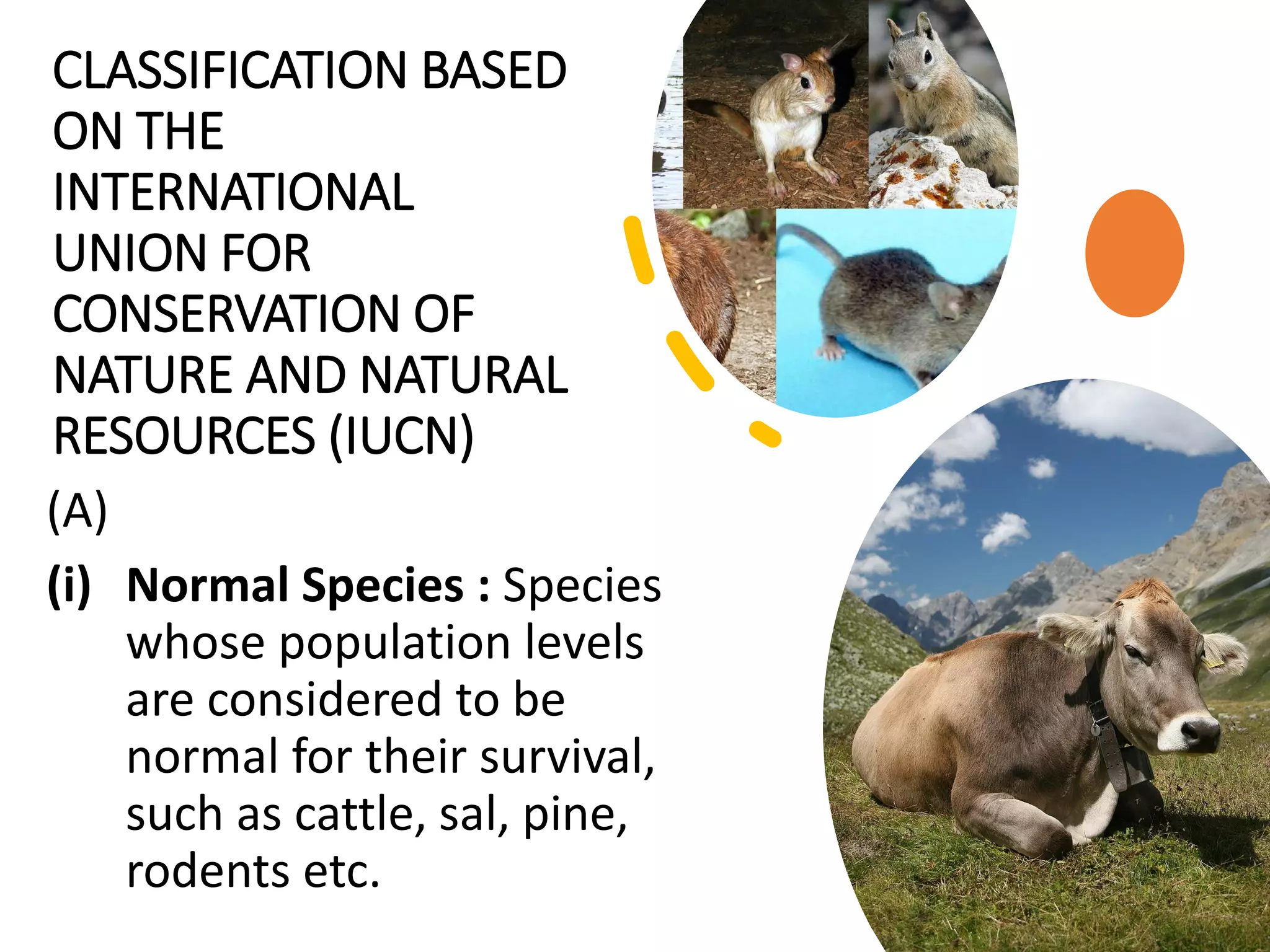 CLASSIFICATION BASED
ON THE
INTERNATIONAL
UNION FOR
CONSERVATION OF
NATURE AND NATURAL
RESOURCES (IUCN)
(A)
(i) Normal Species : Species
whose population levels
are considered to be
normal for their survival,
such as cattle, sal, pine,
rodents etc.
 