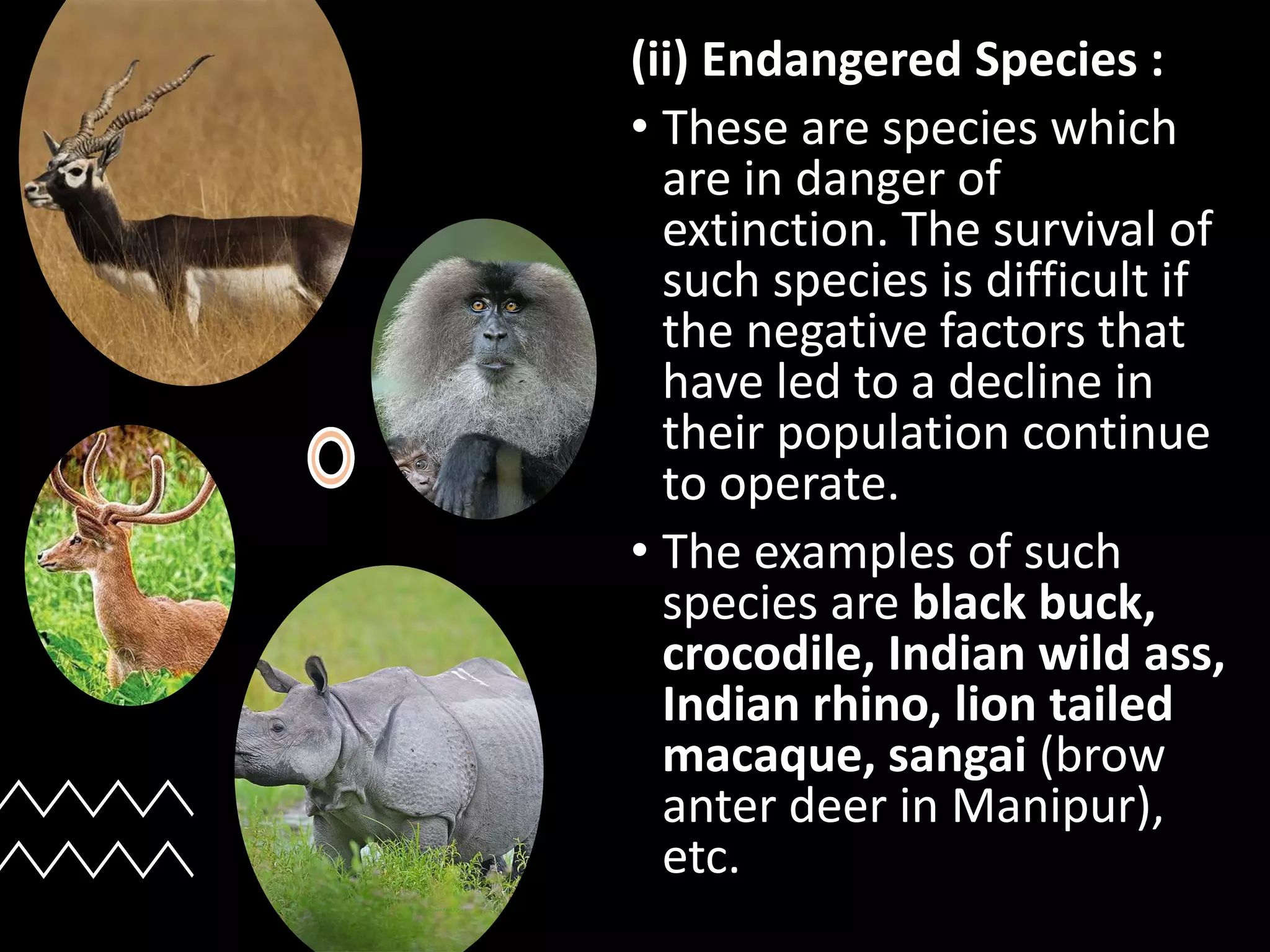 (ii) Endangered Species :
• These are species which
are in danger of
extinction. The survival of
such species is difficult if
the negative factors that
have led to a decline in
their population continue
to operate.
• The examples of such
species are black buck,
crocodile, Indian wild ass,
Indian rhino, lion tailed
macaque, sangai (brow
anter deer in Manipur),
etc.
 