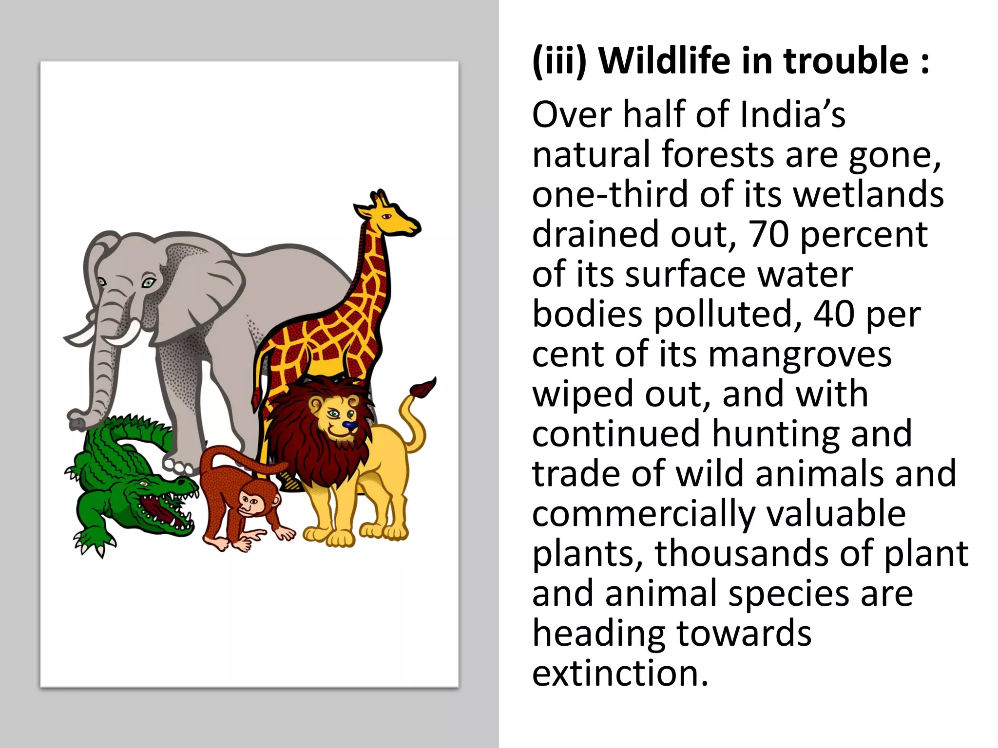 (iii) Wildlife in trouble :
Over half of India’s
natural forests are gone,
one-third of its wetlands
drained out, 70 percent
of its surface water
bodies polluted, 40 per
cent of its mangroves
wiped out, and with
continued hunting and
trade of wild animals and
commercially valuable
plants, thousands of plant
and animal species are
heading towards
extinction.
 
