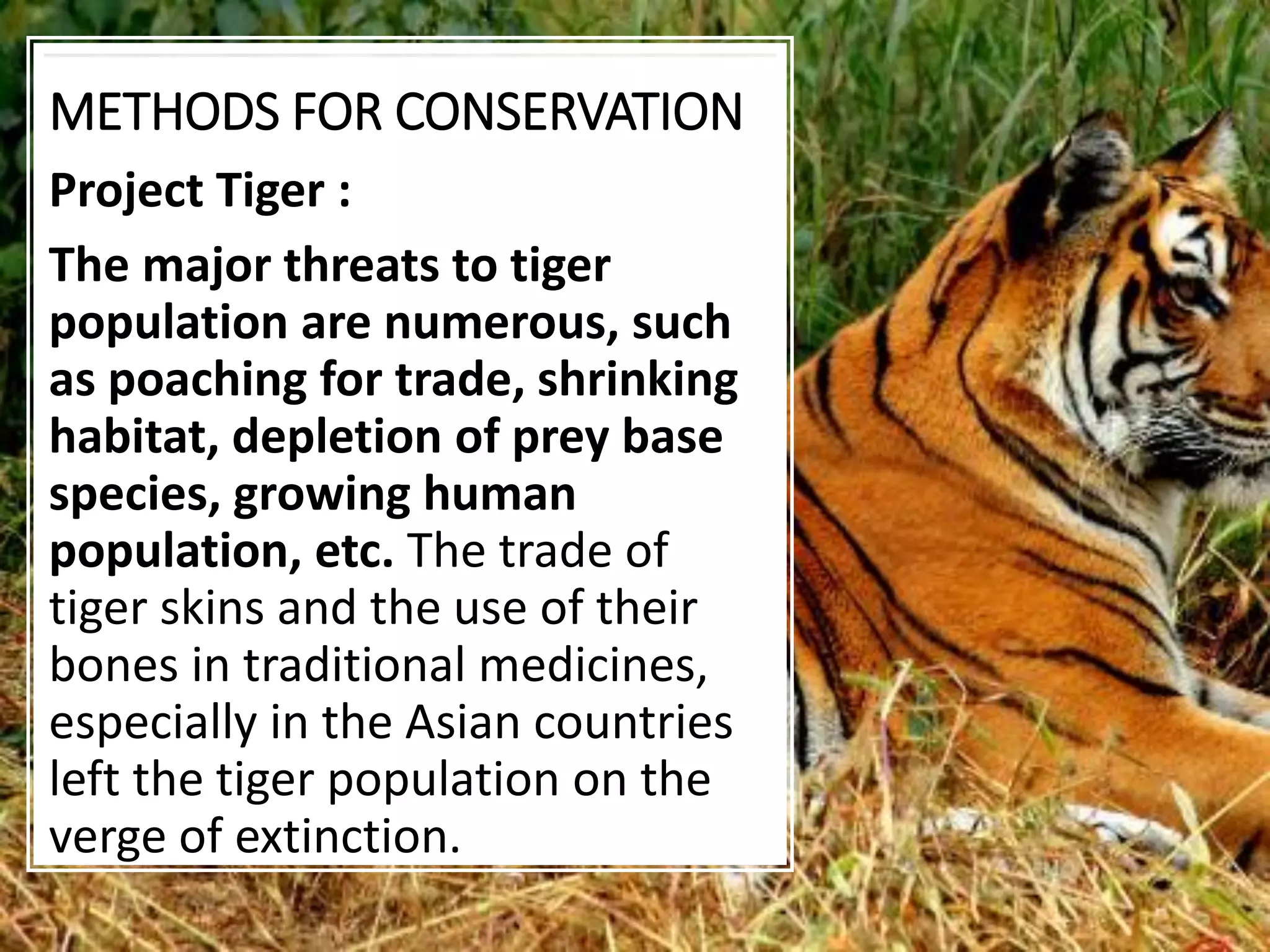 METHODS FOR CONSERVATION
Project Tiger :
The major threats to tiger
population are numerous, such
as poaching for trade, shrinking
habitat, depletion of prey base
species, growing human
population, etc. The trade of
tiger skins and the use of their
bones in traditional medicines,
especially in the Asian countries
left the tiger population on the
verge of extinction.
 