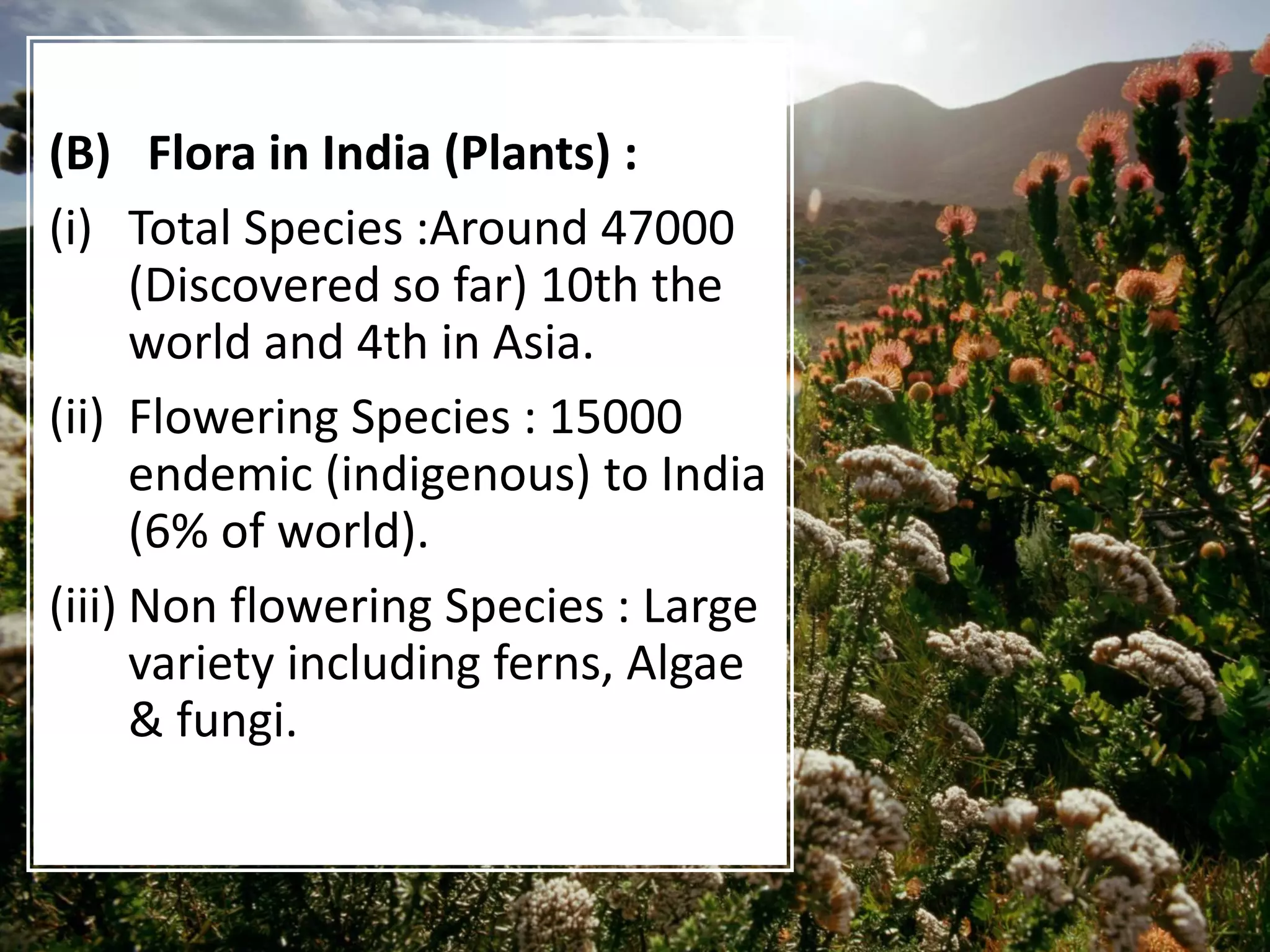 (B) Flora in India (Plants) :
(i) Total Species :Around 47000
(Discovered so far) 10th the
world and 4th in Asia.
(ii) Flowering Species : 15000
endemic (indigenous) to India
(6% of world).
(iii) Non flowering Species : Large
variety including ferns, Algae
& fungi.
 