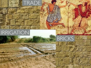 IRRIGATION
BRICKS
TRADE
 