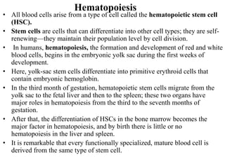 Hematopoiesis
• All blood cells arise from a type of cell called the hematopoietic stem cell
(HSC).
• Stem cells are cells that can differentiate into other cell types; they are self-
renewing—they maintain their population level by cell division.
• In humans, hematopoiesis, the formation and development of red and white
blood cells, begins in the embryonic yolk sac during the first weeks of
development.
• Here, yolk-sac stem cells differentiate into primitive erythroid cells that
contain embryonic hemoglobin.
• In the third month of gestation, hematopoietic stem cells migrate from the
yolk sac to the fetal liver and then to the spleen; these two organs have
major roles in hematopoiesis from the third to the seventh months of
gestation.
• After that, the differentiation of HSCs in the bone marrow becomes the
major factor in hematopoiesis, and by birth there is little or no
hematopoiesis in the liver and spleen.
• It is remarkable that every functionally specialized, mature blood cell is
derived from the same type of stem cell.
 