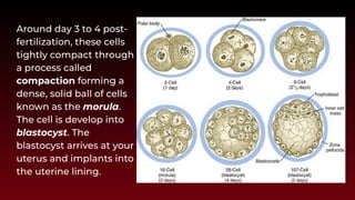 Chapter 2 Heredity, Prenatal Development, and Birth.pdf