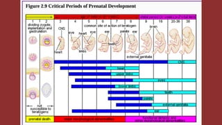 Chapter 2 Heredity, Prenatal Development, and Birth.pdf