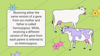 Chapter 2 Heredity, Prenatal Development, and Birth.pdf