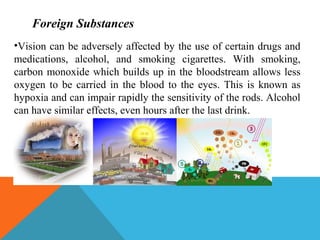 Chapter2hfam(human performance) | PPT | Eye and Vision Conditions ...