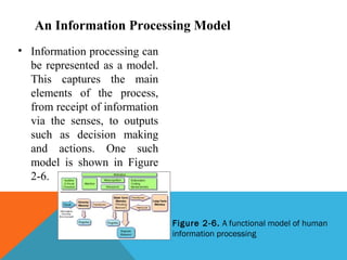 Chapter2hfam(human performance) | PPT | Eye and Vision Conditions ...