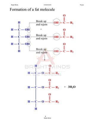 4
Formation of a fat molecule
H
│
H ― C ― OH
│
H ― C ― OH
│
H ― C ― OH
│
H
O
║
OH ― C ― R1
O
║
OH ― C ― R2
O
║
OH ― C ― R3
H O
│ ║
H ― C ― O ― C ― R1
│
│ O
│ ║
H ― C ― O ― C ― R2
│
│ O
│ ║
H ― C ― O ― C ― R3
│
H
+ 3H2O
+
Break up
and rejoin
Break up
and rejoin
Break up
and rejoin
Bright Minds 016-6412016 Thuran
Bright Minds
 
