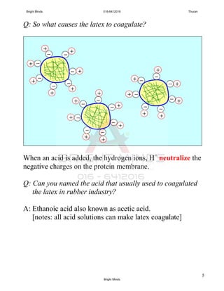 5
Q: So what causes the latex to coagulate?
When an acid is added, the hydrogen ions, H+
neutralize the
negative charges on the protein membrane.
Q: Can you named the acid that usually used to coagulated
the latex in rubber industry?
A: Ethanoic acid also known as acetic acid.
[notes: all acid solutions can make latex coagulate]
─
─
─
─
─
─
─
─
─
─
─
─
─
─
─
─
─
─
─
─
─
+
+
+
++
+
+
+
+
+
+
+
+
+
+
+
+
+
+
+
+
Bright Minds 016-6412016 Thuran
Bright Minds
 