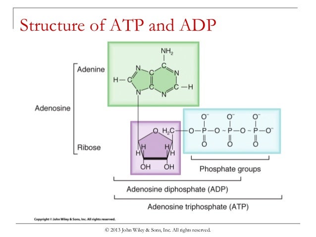 Chapter 2 introductory chemistry