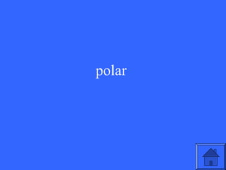 polar

23

 